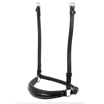 Schwarzes, glänzendes Haustierhalsband mit verstellbarem Riemen und Schnalle, auf einem weißen Hintergrund präsentiert.