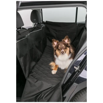 Ein brauner und weißer Hund sitzt auf einem schwarzen, gepolsterten Autositzbezug im hinteren Teil eines Fahrzeugs, mit sichtbaren Netzfächern an den Seiten.