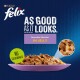 Purina Felix cat food with "As Good As It Looks" branding, featuring "Favourites Selection in Jelly" and a "No Colourants" label.