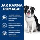 Szczęśliwy Border Collie siedzi na niebieskim tle z polskim tekstem o korzyściach karmy dla psów dla zdrowia zębów i dziąseł.