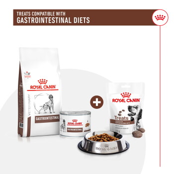 Royal Canin veterinary products for gastrointestinal diets, including dry food, wet food, and treats, displayed in a pet bowl.