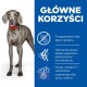 Pies obok tekstu wymieniającego korzyści: bezglutenowy, glukozamina dla stawów, omega-3 i witamina E dla skóry i sierści.
