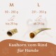 Ein Hund im Freien, der auf einem großen Knochen kaut, mit "Wildfang® Rinderhorn - Kauhorn für Hunde" und seinen natürlichen Zutaten.