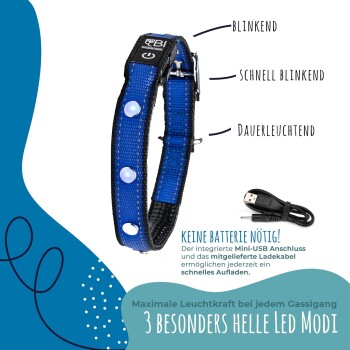 Blaues LED-Hundehalsband mit blinkenden, schnell blinkenden und konstant leuchtenden Modi. USB-Ladekabel enthalten; keine Batterien erforderlich.