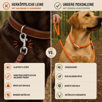 Geteiltes Foto: links Hund mit Lederhalsband mit Aufdruck 'HERKÖMMLICHE LEINE'; rechts Hund mit orangefarbenem Tau mit Aufdruck 'MOXONLEINE'.
