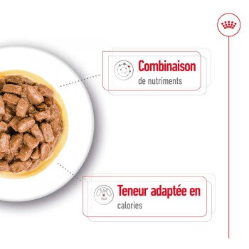 Bol de nourriture pour animaux de compagnie avec des morceaux de viande, avec un texte mettant en avant "Combinaison de nutriments" et "Teneur adaptée en calories."