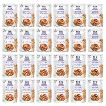 Mehrere Beutel Brit Care Kitten Fillets in Gelee, Geschmacksrichtung Savory Salmon, mit Bildern von Kätzchen und Rosmarin.