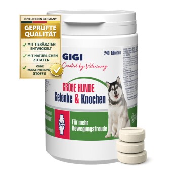 Behälter mit GIGI Gelenktabletten für große Hunde, mit einem Husky und dem Text "GROBE HUNDE Gelenke & Knochen" und "Für mehr Bewegungsfreude."