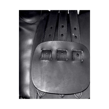 Nahaufnahme eines schwarzen Lederhaustiergeschirrs mit verstellbaren Riemen und einer Schnalle mit drei Löchern für eine sichere Befestigung.