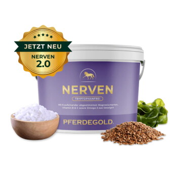 Lila Pferdegold-Mineralfutterbehälter mit der Aufschrift "Nerven," umgeben von Salz, Algen, Leinsamen und einem Wurzelgemüse.