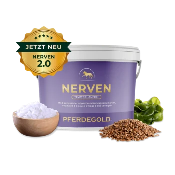 Lila Pferdegold-Mineralfutterbehälter mit der Aufschrift "Nerven," umgeben von Salz, Algen, Leinsamen und einem Wurzelgemüse.