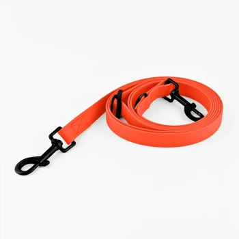 Helle orangefarbene Hundeleine mit schwarzen Clips und Nähten, ordentlich auf einem weißen Hintergrund aufgerollt.