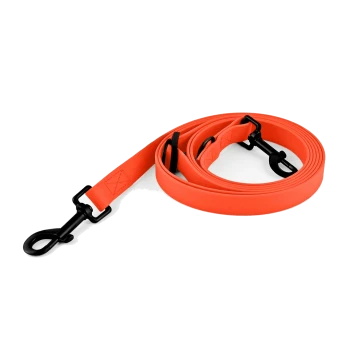 Helle orangefarbene Hundeleine mit schwarzen Clips und Nähten, ordentlich auf einem weißen Hintergrund aufgerollt.