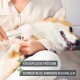 Eine Person schneidet sanft die Nägel eines entspannten Corgis, mit einem Textüberlagerung, die "Für gepflegte Pfötchen" und "Schmerzfreies Abrunden der Krallen" besagt.