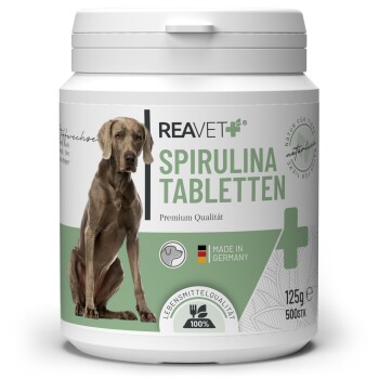 Behälter mit REAVET Spirulina-Tabletten für Hunde, 500 Tabletten, 125g, beschriftet mit "Premium Qualität", hergestellt in Deutschland, mit einer Hundesilhouette.