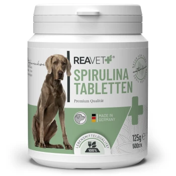 Behälter mit REAVET Spirulina-Tabletten für Hunde, 500 Tabletten, 125g, beschriftet mit "Premium Qualität", hergestellt in Deutschland, mit einer Hundesilhouette.