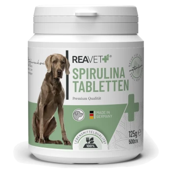 Behälter mit REAVET Spirulina-Tabletten für Hunde, 500 Tabletten, 125g, beschriftet mit "Premium Qualität", hergestellt in Deutschland, mit einer Hundesilhouette.