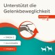 Unterstützt die Gelenkbeweglichkeit, mit einer Illustration eines Gelenks, mit Text, der Omega 3, Glucosamin und Vitamin E hervorhebt. Fortgeschrittenes Niveau 2.