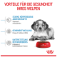 Welpe neben einer roten Schüssel mit Royal Canin Hundefutter, mit Text über Gesundheitsvorteile: Immununterstützung, Gehirnentwicklung und Mikrobiomgesundheit.