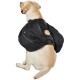 Geschirr + Rucksack Travel L