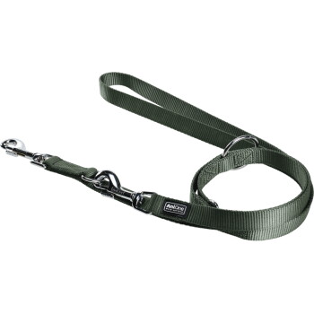 Laisse pour chien en nylon vert olive avec mousquetons chromés, anneau en D et étiquette 'AniOne'