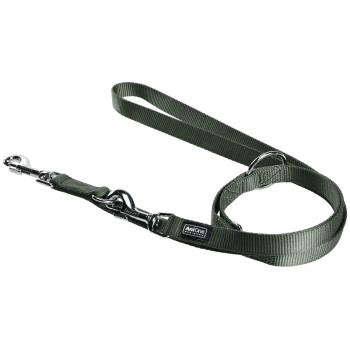 Olivgrüne Nylon-Hundeleine mit Chromkarabinern, D‑Ring und Etikett 'AniOne'