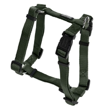 Harnais pour animaux de compagnie vert avec des sangles réglables et des boucles à dégagement rapide, conçu pour le confort et la sécurité lors des promenades.