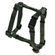 Green pet harness with adjustable straps and quick-release buckles, designed for comfort and security during walks.