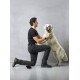 Eine Person kniet und umarmt einen glücklichen Golden Retriever in einer Studio-Umgebung mit grauem Hintergrund.