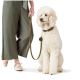 Eine Person in olivgrünen Hosen hält eine Leine, die an einem flauschigen weißen Pudel befestigt ist, der neben ihnen sitzt.