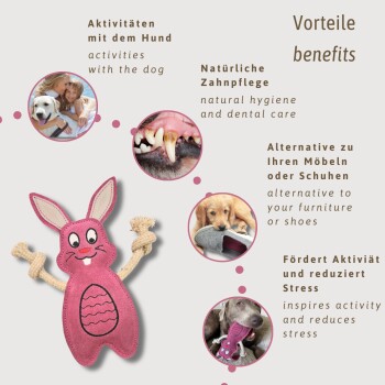 Ein rosa Kaninchen-Hundespielzeug mit Seilarmen, das Vorteile wie Hundetätigkeiten, Zahnpflege, Möbelalternative und Stressabbau bietet.