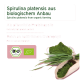 Etikett mit der Aufschrift 'Spirulina platensis aus biologischem Anbau' mit BIO-Logo sowie Schüssel und Holzlöffel mit grünem Spirulina-Pulver.