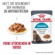 Royal Canin Urinary Katzenfutterbeutel mit einem Teller mit Nassfutter, der Text über die Unterstützung der Harnwegsgesundheit in 10 Tagen enthält.
