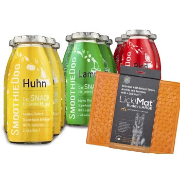 Vier bunte Gläser mit SmoothieDog-Haustiersnacks, beschriftet mit "Huhn", "Lamm" und "Rind", neben einem orangefarbenen LickiMat Buddy Large.