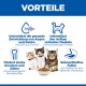 Drei Kätzchen mit einem Napf Trockenfutter unter der Überschrift 'VORTEILE' und deutschen Vorteilstexten/Symbolen: Augen, Muskeln, Knochen, Verdauung.