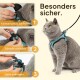 Eine graue Katze in einem blauen Geschirr wird in drei Schritten gezeigt: Klettverschluss schließen, Schnalle befestigen und die Leine anbringen. Text: "Besonders sicher."