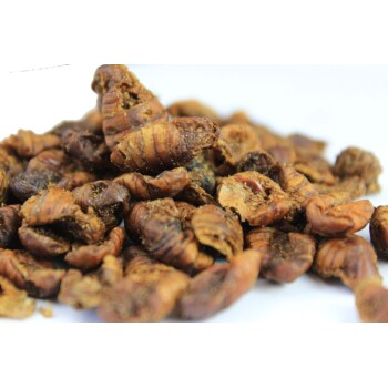 Getrocknete Insekten-Snacks für Haustiere, die einen Haufen knuspriger, brauner, spiralförmiger Leckereien auf einem weißen Hintergrund zeigen.