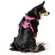 Geschirr Divo Camouflage rosa L