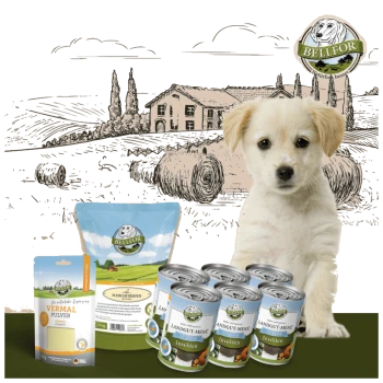 BELLEFOR Haustierfutterprodukte: Kräuterpulver, Fleischstreifen und "Landgut-Menü Insekten" Dosen, vor einer malerischen Farmkulisse.