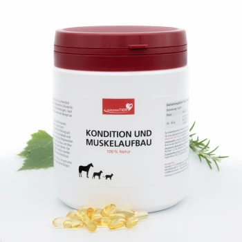 Weißer Behälter mit rotem Deckel, beschriftet mit „Kondition und Muskelaufbau 100% Natur“ für Haustiere, zeigt Symbole von Pferd, Hund und Katze.