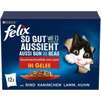 Felix Purina Katzenfutterbox mit einer schwarz-weißen Katze, Text auf Deutsch und Französisch, Geschmacksrichtungen Rind, Kaninchen, Lamm, Huhn in Gelee.