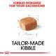 Kibble designed specifically for dachshunds, featuring a single kibble piece illustrated with a sketch and the text "Tailor-Made Kibble."