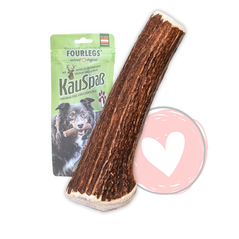 FOURLEGS ® Kauspaß für Hunde aus 100% Hirschgeweih GANZ