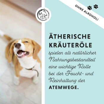 Lächelnder Beagle links; türkisfarbenes Feld rechts mit der Aufschrift 'ÄTHERISCHE KRÄUTERÖLE', Fließtext über die Atemwege und 'OHNE ALKOHOL!'.