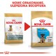 Obraz dwóch torebek karmy dla psów Royal Canin obok siebie, oznaczonych 'Junior' i 'Puppy' dla owczarków niemieckich, z czerwoną strzałką wskazującą nową formułę.