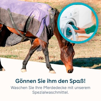 Ein Pferd in einer lila und schwarzen Decke grast, während eine Frau Wäsche lädt. Text: "Gönnen Sie ihm den Spaß! Waschen Sie Ihre Pferdedecke!"