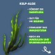 Adult - Lachs + Gemüse & Kelp 1,5 kg