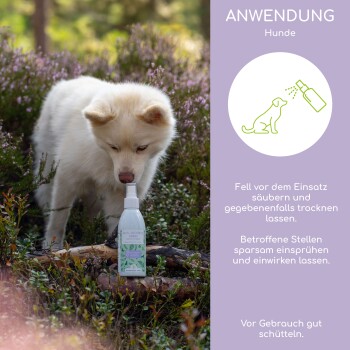 Eine Flasche Haustierpflege-Spray steht auf dem Boden zwischen lila Blumen, mit Gebrauchsanweisungen für Hunde auf der rechten Seite.