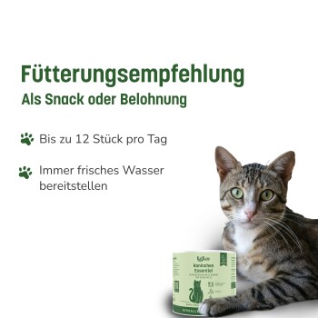 Fütterungsempfehlung für Katzensnacks: bis zu 12 Stück täglich, immer frisches Wasser bereitstellen, mit einem getigerten Kater und Snackbehälter.