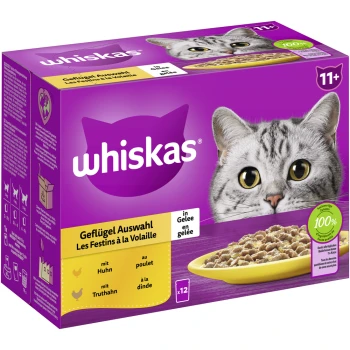 Multipack 11+ Geflügel Auswahl in Gelee 12 x 85g Whiskas Katzenfutterpackung mit dem Gesicht einer grauen Katze, beschriftet mit "Geflügel Auswahl" mit Huhn- und Truthahn-Geschmack, 100% vollständige Ernährung, 12 Portionen.